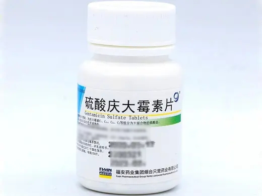 硫酸庆大霉素片40mg*100片