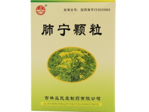 肺宁颗粒10g*10袋